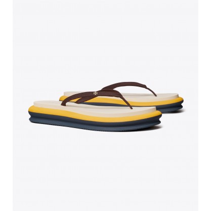 Layered Flip-Flop